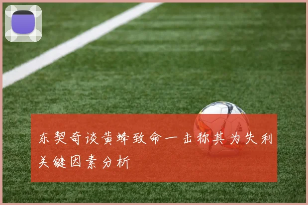 东契奇谈黄蜂致命一击称其为失利关键因素分析