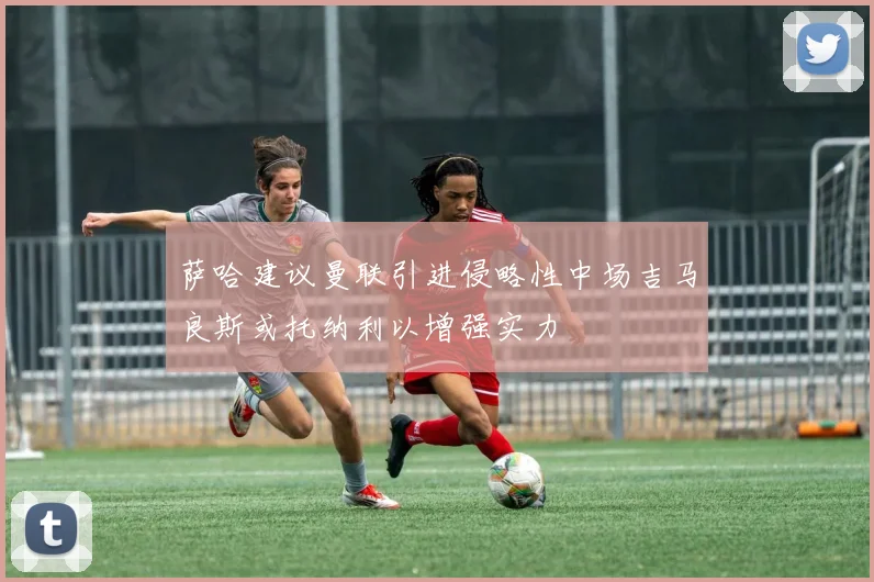 萨哈建议曼联引进侵略性中场吉马良斯或托纳利以增强实力