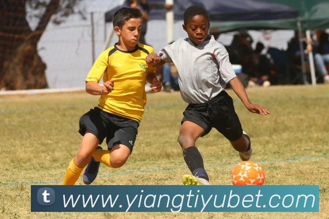 意昂体育APP 封面图